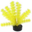 Blue Ribbon Colorburst Plant Foxtail Neon Yellow Online Sale