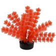 Blue Ribbon Colorburst Plant Foxtail Neon Orange Supply