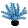 Blue Ribbon Colorburst Plant Foxtail Neon Blue Online Hot Sale