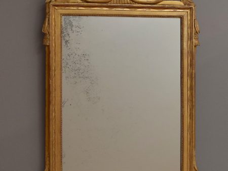 Early 19th Century Gilt French Mirror Fashion