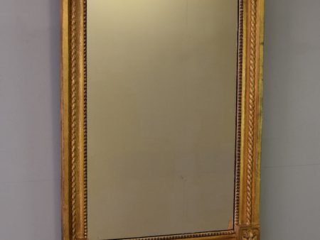 Early 19th Century English Carved Gilt Wood Mirror For Sale