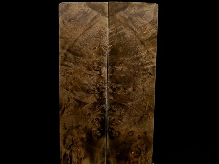 #1012 - OD Green Box Elder Burl For Cheap