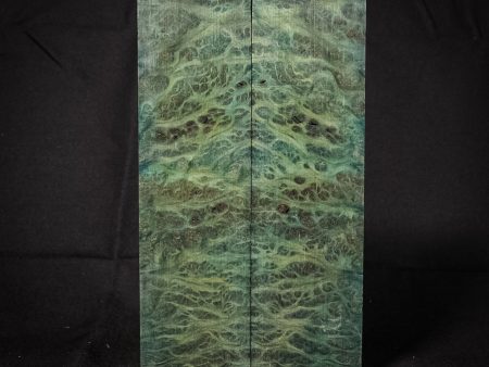 #2264 - Teal Redwood Lace Burl Hot on Sale