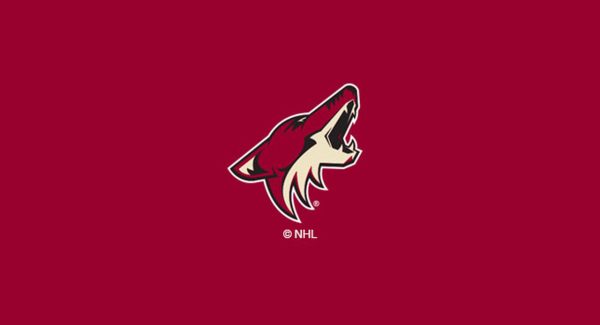 Arizona Coyotes Pool Table Felt 8 Foot For Discount