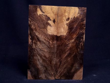 #1041 - Spalted Myrtle Burl Discount