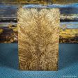 #2505 - Black Ash Burl For Sale