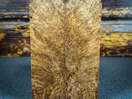 #2505 - Black Ash Burl For Sale