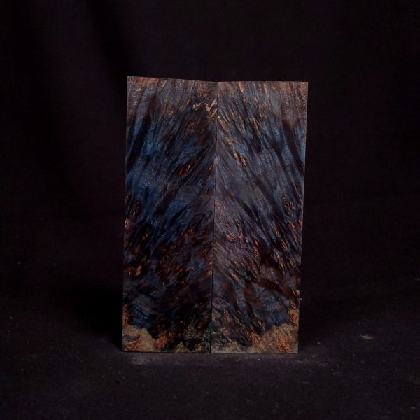 #1057 - Tru-Blue Curly Maple Burl Fashion