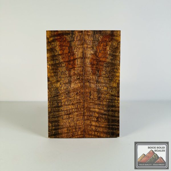 #2608 - Spalted Curly Mango Hot on Sale