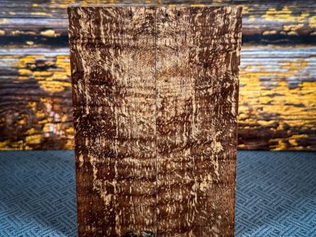 #2475 - Spalted Curly Mango - Bargain Bin For Cheap