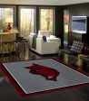 University of Arkansas Rug Team Spirit Cheap