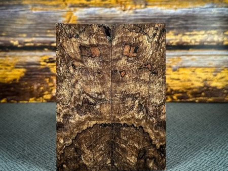 #2503 - Spalted Maple Burl - Bargain Bin For Sale