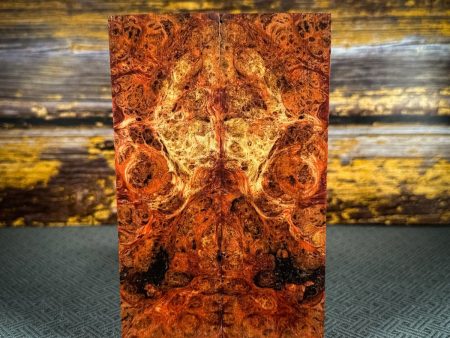 #2486 - Orange and Purple Double Dyed Yellow Cedar Burl Cheap