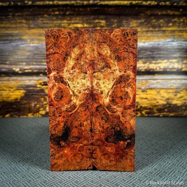 #2486 - Orange and Purple Double Dyed Yellow Cedar Burl Cheap