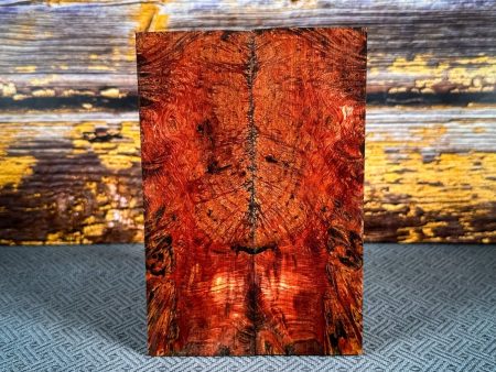 #2446 - Red and Green Dyed Yellow Cedar Burl - Bargain Bin Online