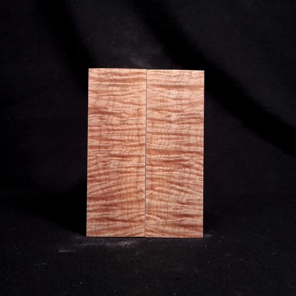 #2035 - INSANE 5A Curly Maple Online Sale