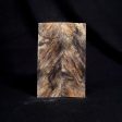 #2034 - Buckeye Burl - K&G Stabilized *Bargain Bin* For Discount