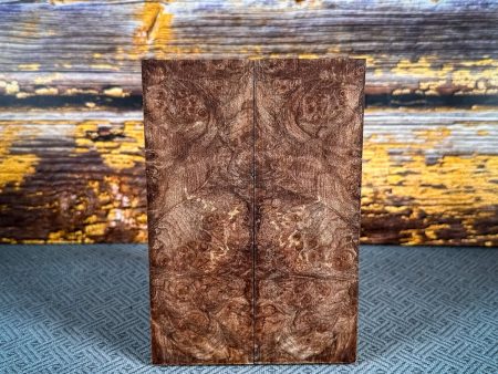 #2428 - Maple Burl For Cheap