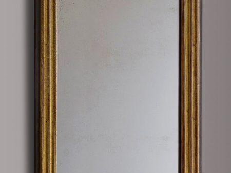 Early 19th Century French Gilt & Painted Mirror Online now