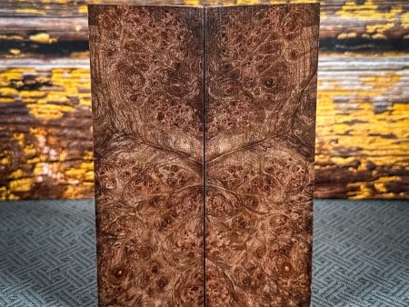 #2473 - Maple Burl - Bargain Bin For Sale