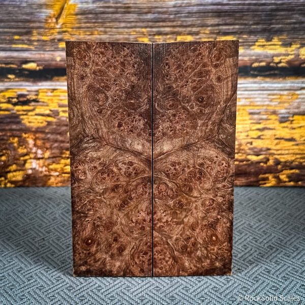 #2473 - Maple Burl - Bargain Bin For Sale