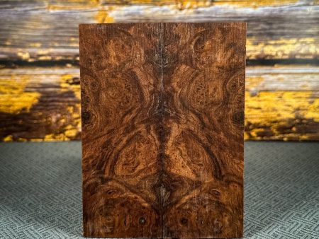 #2502 - Maple Burl For Cheap