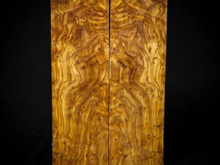 #2234 - Olive Burl Online Hot Sale