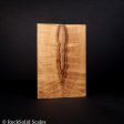 #2120 - Curly, Spalted Myrtle - Bargain Bin Fashion