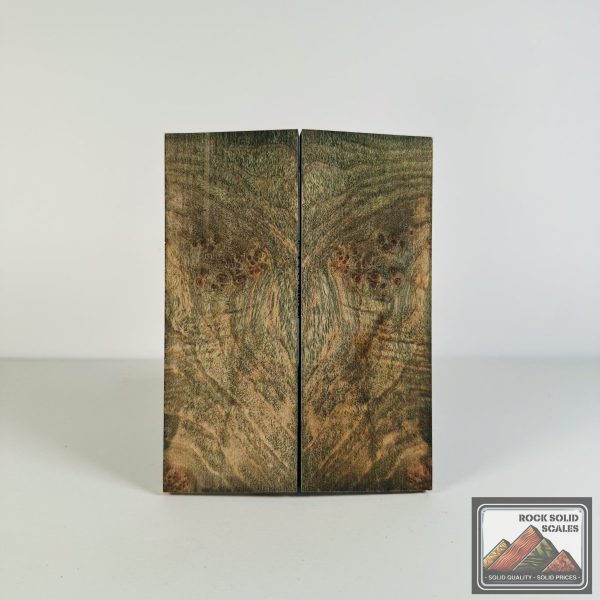 #2678 - Green and Blue Curly Maple Burl Sale