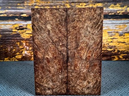 #2469 - Maple Burl Supply