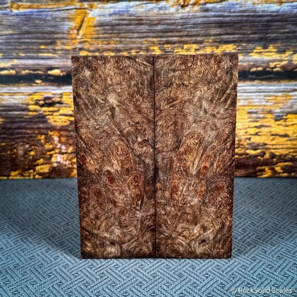 #2469 - Maple Burl Supply