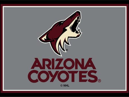 Arizona Coyotes Rug Team Spirit Supply