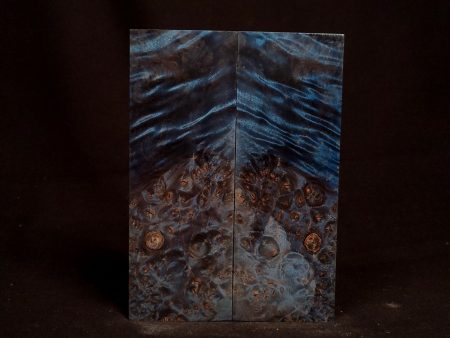 #1054 - Tru-Blue Curly Maple Burl For Cheap