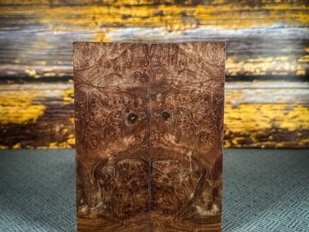 #2489 - Maple Burl For Discount