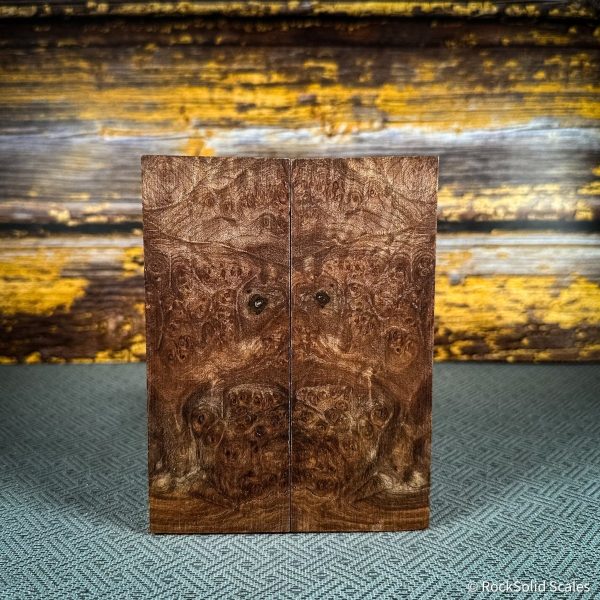 #2489 - Maple Burl For Discount