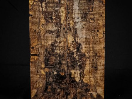 #2281 - Curly, Spalted, Buggy Mango For Cheap