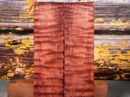 #2358 - Magenta and Orange Double Dyed Curly Maple - Bargain Bin For Sale