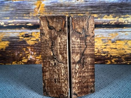 #2448 - Curly Spalted Mango Supply