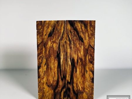 #2600 - Yellow Spalted Alder Fashion