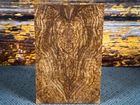 #2471 - Black Ash Burl Supply