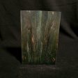 #858 -  Murky Waters  Spalted Maple For Discount