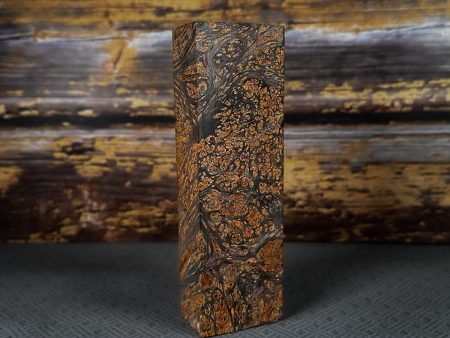 #2392 - Neon Orange and Black Doube Dyed Yellow Cedar Burl Block Online Hot Sale