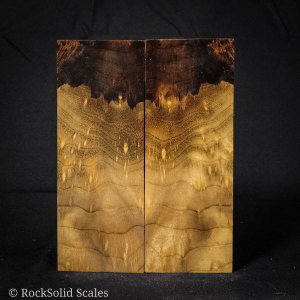 #2170 - Spalted Myrtle Burl Online Hot Sale