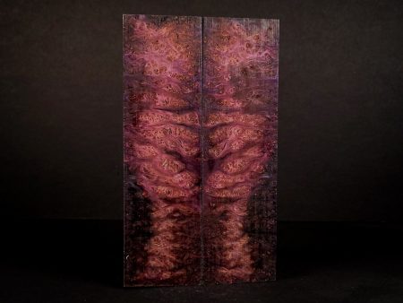 #2128 - Violet and Blue Double Dye Redwood Burl - K&G Stabilized Sale