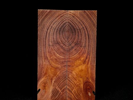 #1007 - Black Dyed X-Cut Honey Locust Fashion