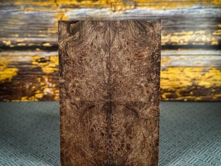 #2498 - Maple Burl Fashion