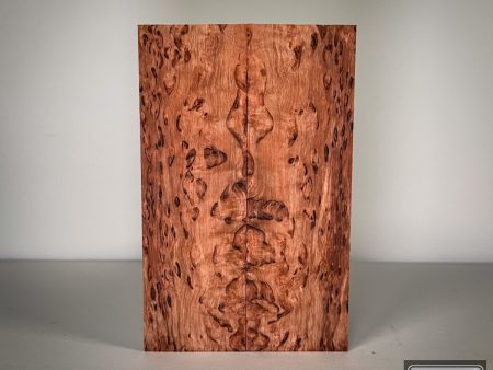 #2747 - Orange Masur Birch Sale