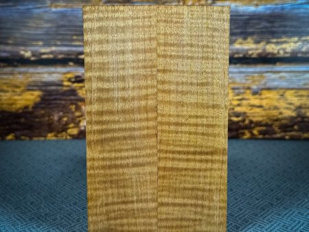 #2491 - Yellow Curly Maple Online