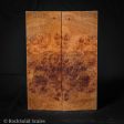 #2184 - Spalted Maple Burl Fashion