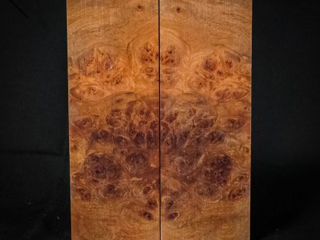 #2184 - Spalted Maple Burl Fashion